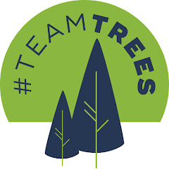 #TeamTrees net worth