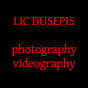 Lic Dusepis logo