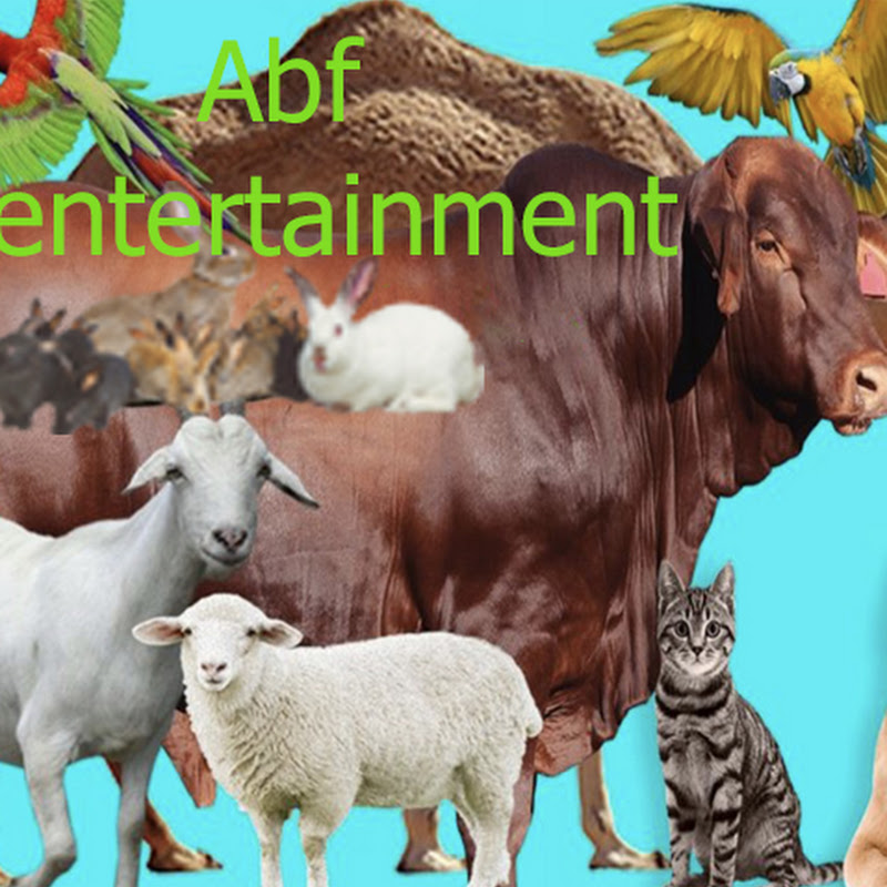 Abf entertainment