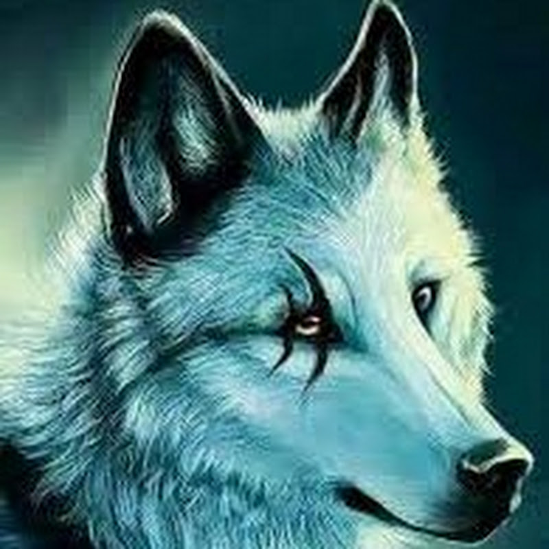 Hire RazorTvx — Valorant Content YouTube creator for sponsorships