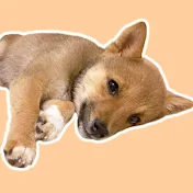 眠れる森のいちごちゃん。