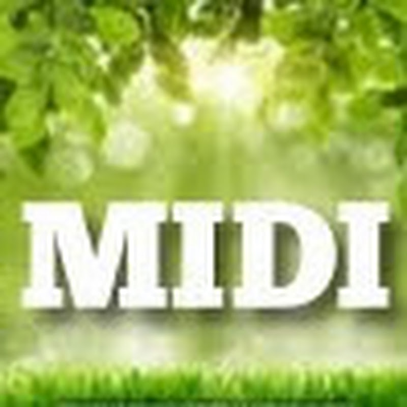 Miditech Karaoke