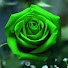 OI0afc6V_AY-channel-avatar-abdullah