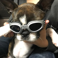 ここりるゲームチャンネル