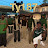 @Ty-pf6np