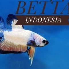 Логотип каналу Betta Indonesia