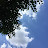 @user-vq5fb5nh5s