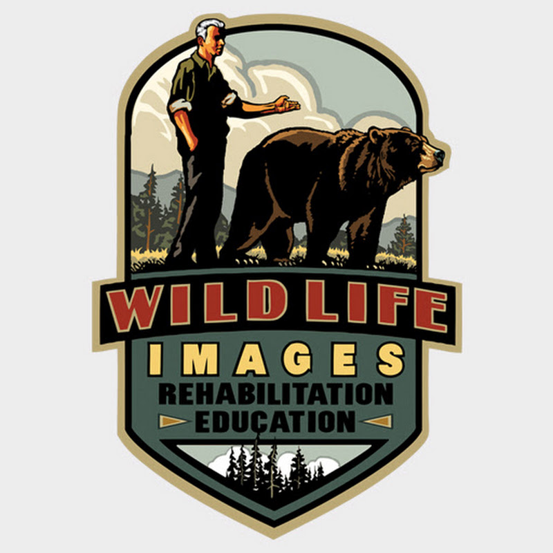 Wildlife Images Rehabilitation and Education Center avatar