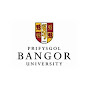Bangor University ESRC IAA logo