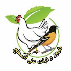 طيور و نبات على السطح