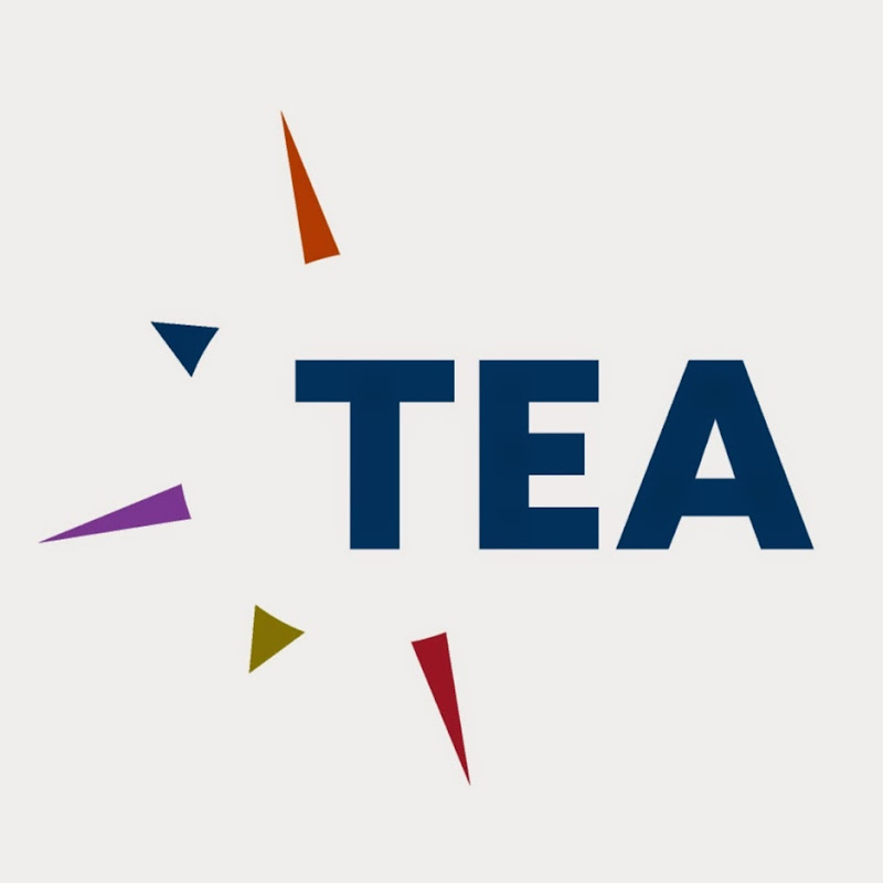 Themed Entertainment Association