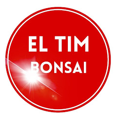 El Tim Bonsai ÓPTIMA channel logo