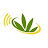 Cannabis Radio