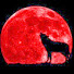 dn2iyfEsZFA-channel-avatar-Desert_Wolf
