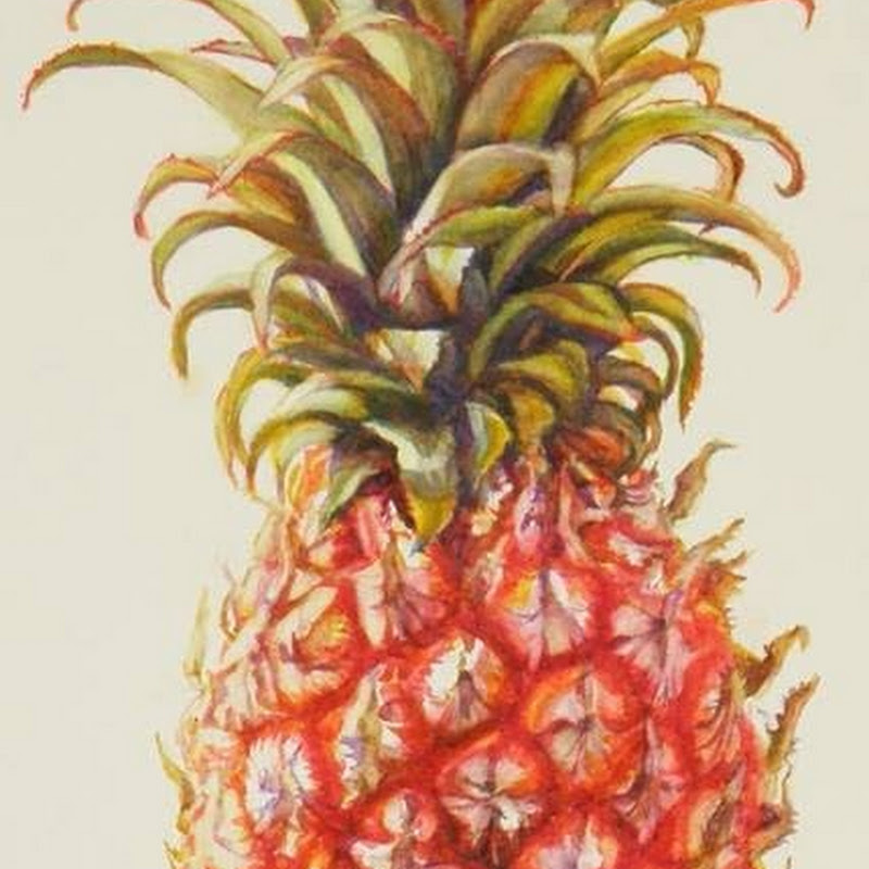 Pineapple Co.