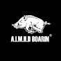 AIMHDboarin logo