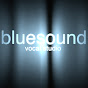 Bluesound Vocal Studio