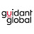 Guidant Global