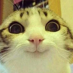 雪うさ