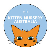 The Kitten Nursery Aus