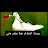 @alifawzy8825