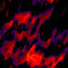 Channel Image