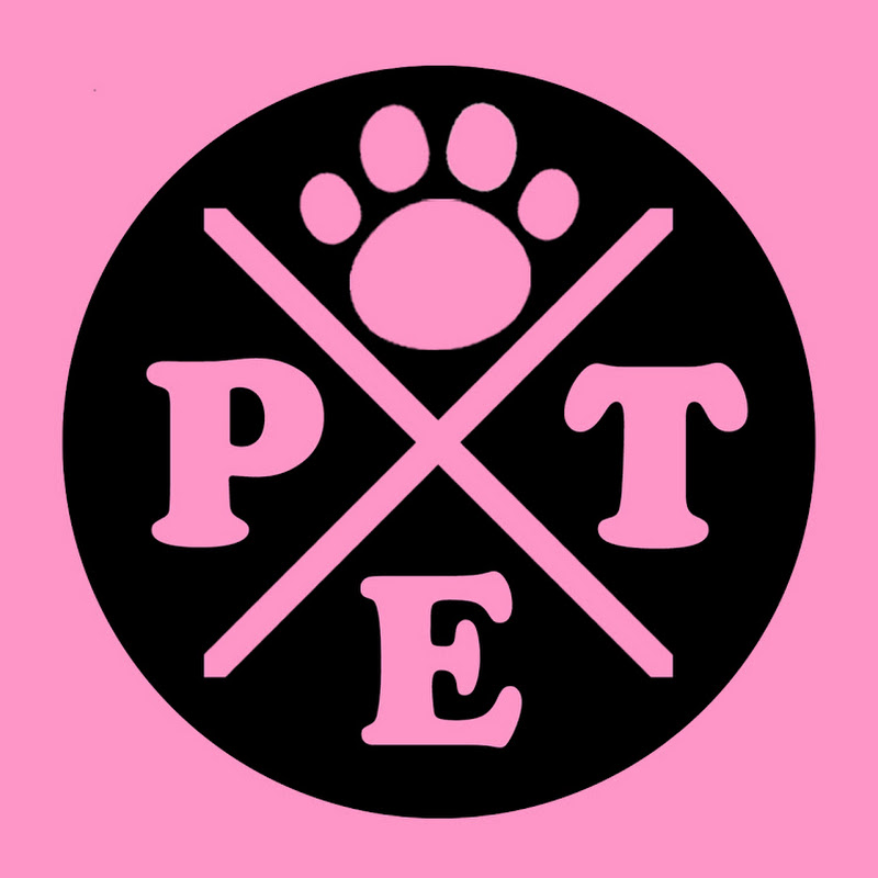 PETfamily Dance