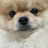 @user-xb3it7lz7i