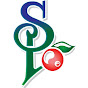 Shasta Produce logo
