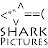 Shark Pictures