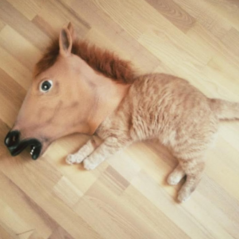 Ruben
