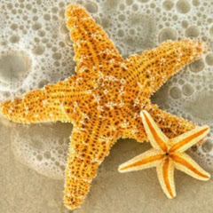 RoseyStarFish