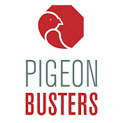 Pigeon Busters