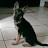 @francisconarvaez7726 Avatar