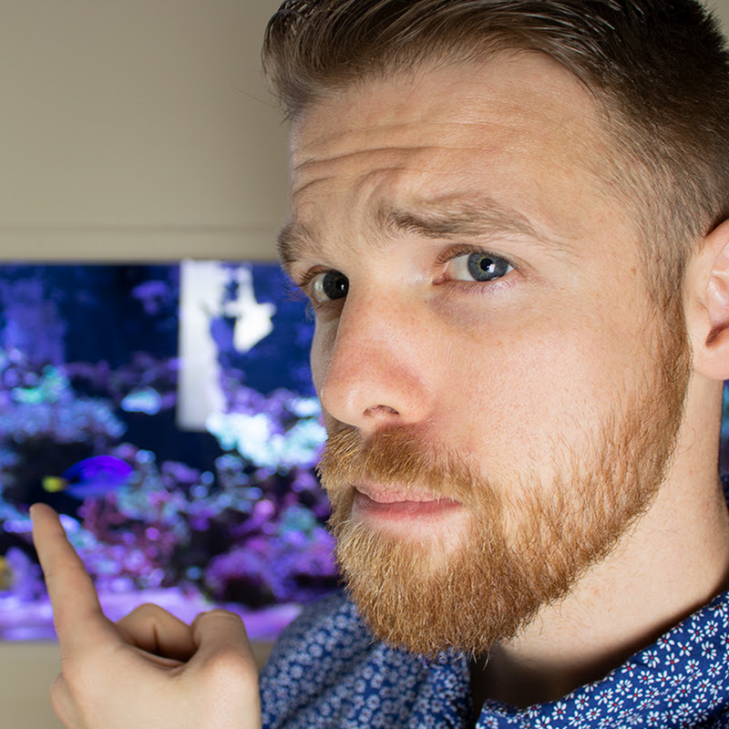 RealReefingTV