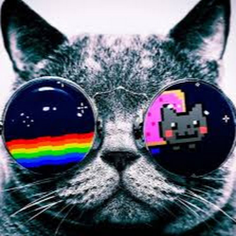 Channel Avatar