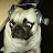 @BigGazRC Avatar