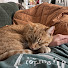 41kuwCuaiKE-channel-avatar-Myranda Means