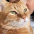 youtube avatar