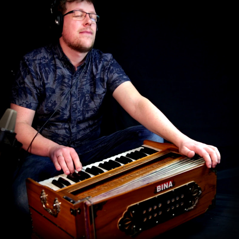 The Harmonium Evolution
