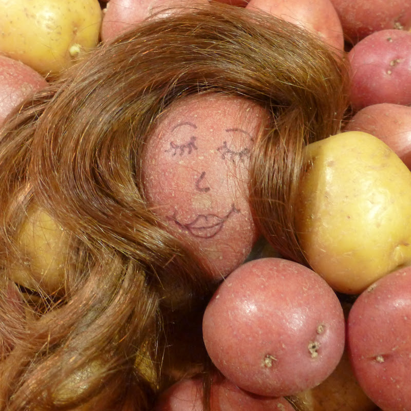 Potato Red