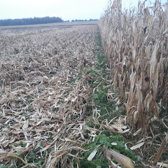 Thumbnail of related channel