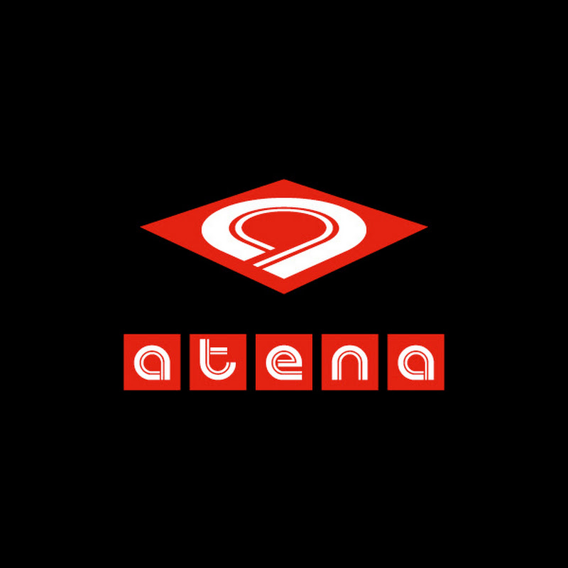 Atena S.p.A. Controsoffitti e Rivestimenti