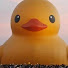 aMA_HJ0m99o-channel-avatar-러버덕
