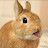@bunnybro1176 Avatar