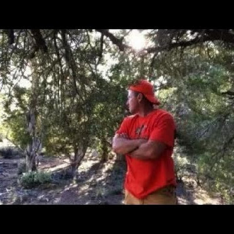 Desert Sasquatch