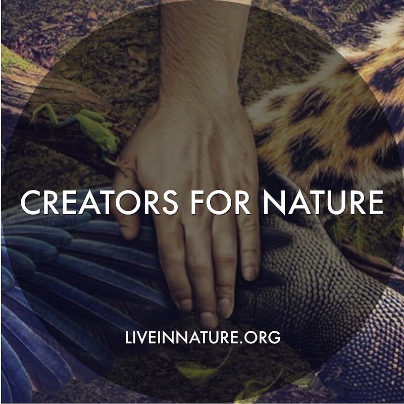 Creators For Nature