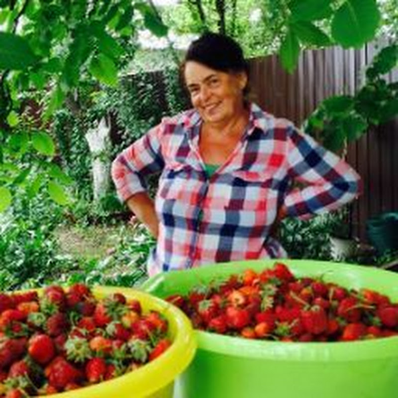 КАК ДОМА Logo