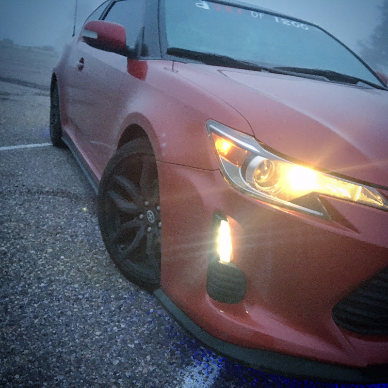 The Red Scion tC