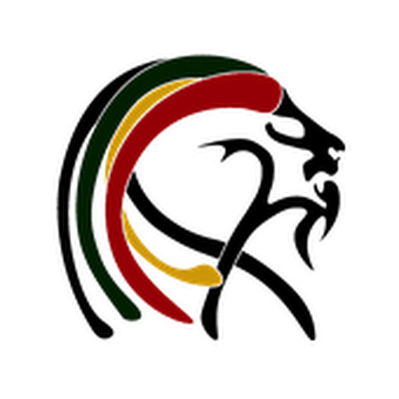 King Lion Of Judah